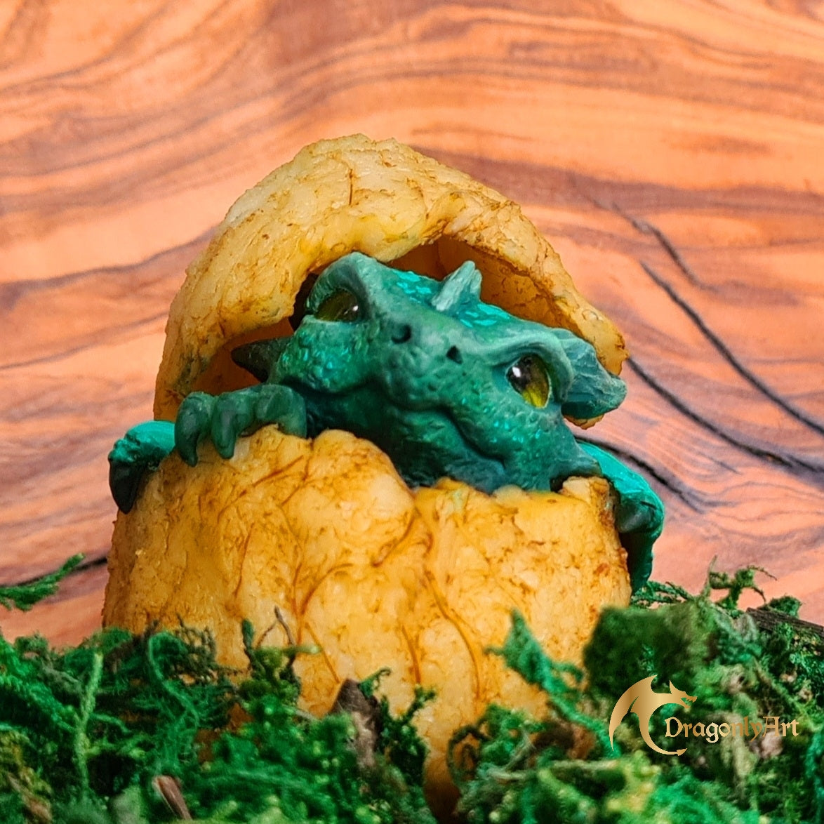 Pip The Hatchling