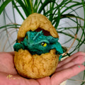 Pip The Hatchling